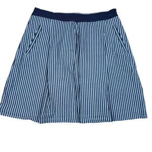 Banana Republic Blue and White Striped Mini Skirt